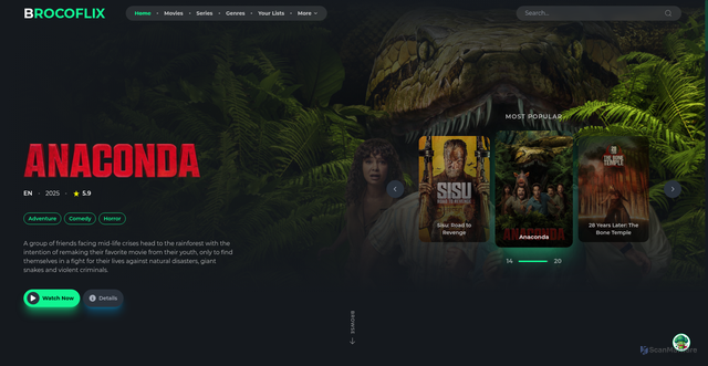 Security scan screenshot of https://brocoflix.lat/