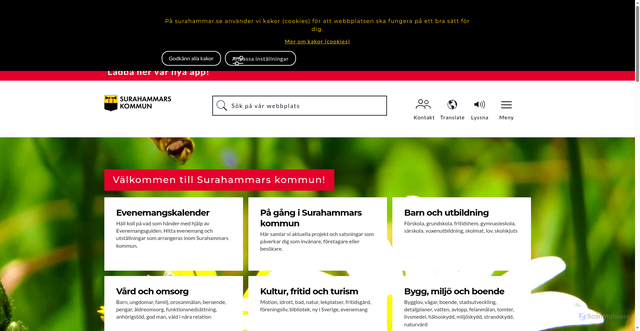 Security scan screenshot of http://www.surahammar.se