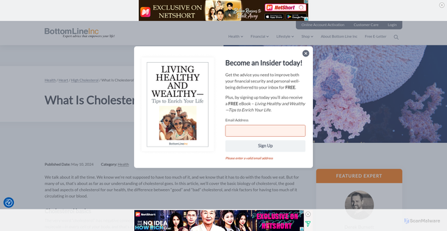 Security scan screenshot of https://www.bottomlineinc.com/health/heart/high-cholesterol/what-is-cholesterol/