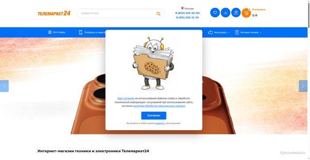Security scan screenshot of https://telemarket24.ru
