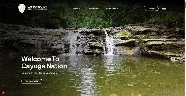 Security scan screenshot of https://cayuganation-nsn.gov/