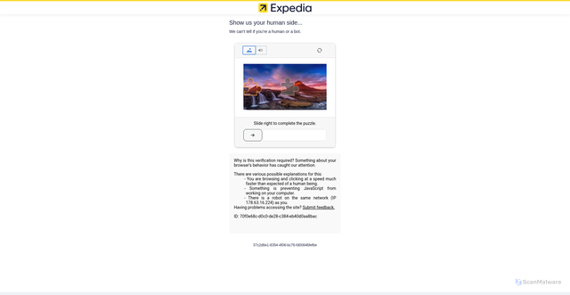 Security scan screenshot of https://www.expedia.com/things-to-do/disneyland-resort-tickets.a181752.activity-details