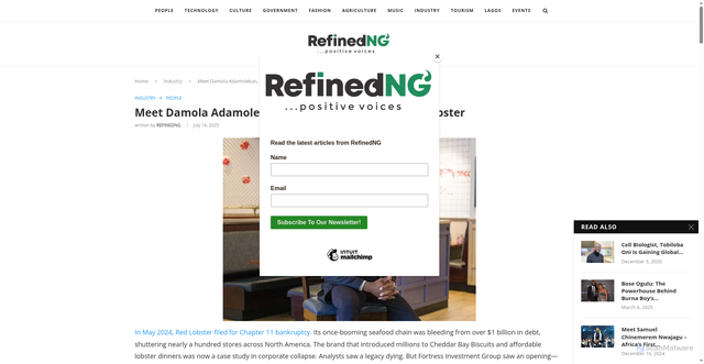 Security scan screenshot of https://refinedng.com/meet-damola-adamolekun-the-man-who-saved-red-lobster/