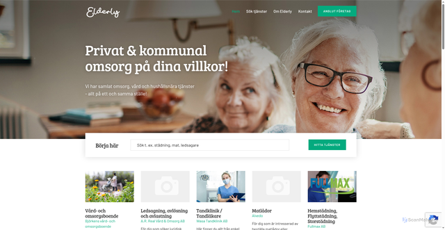 Security scan screenshot of https://elderly.se