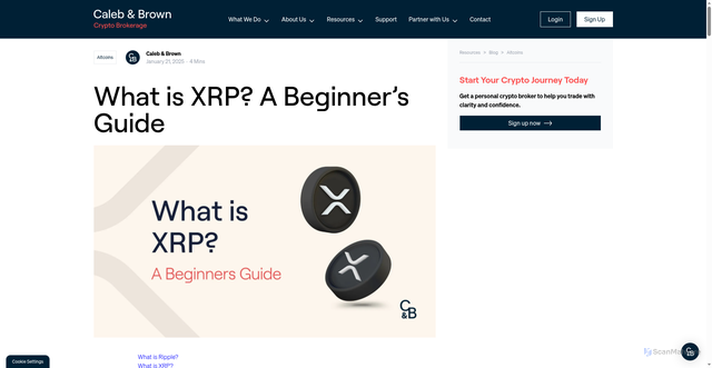 Security scan screenshot of https://calebandbrown.com/blog/what-is-xrp/