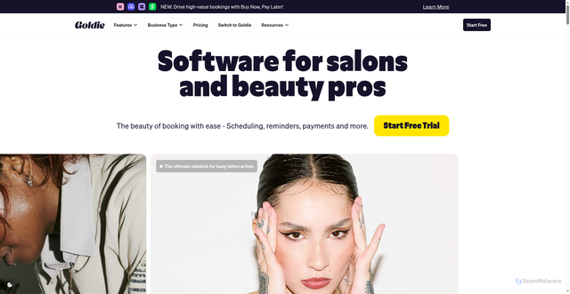 Security scan screenshot of https://heygoldie.com