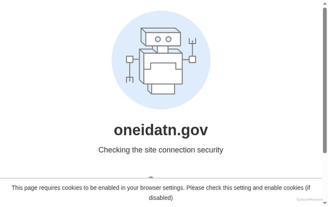 Security scan screenshot of https://oneidatn.gov/
