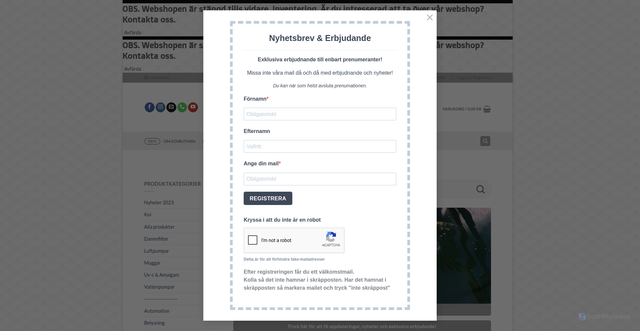 Security scan screenshot of https://koibutiken.se