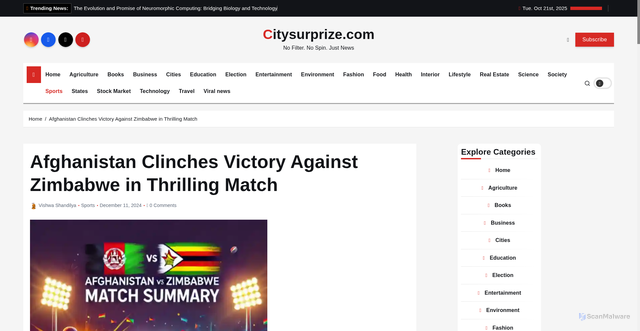 Security scan screenshot of https://citysurprize.com/afghanistan-clinches-victory-against-zimbabwe-in-thrilling-match/