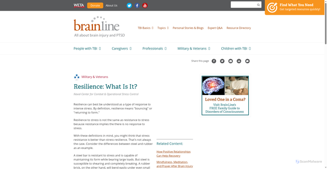 Security scan screenshot of https://www.brainline.org/article/resilience-what-it