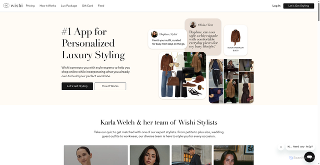 Security scan screenshot of https://wishi.me