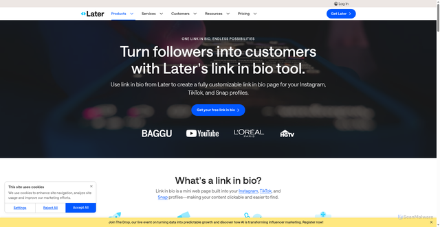 Security scan screenshot of https://linkin.bio/notificaion/
