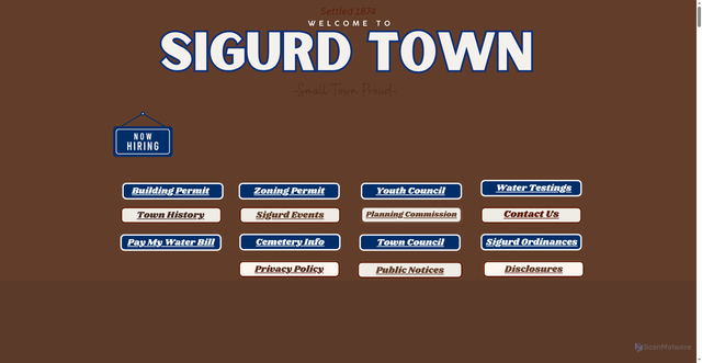 Security scan screenshot of https://sigurdtown.gov/