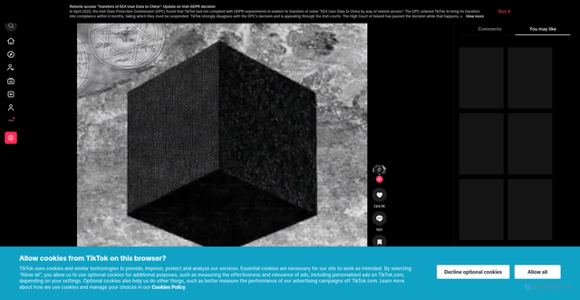 Security scan screenshot of https://vt.tiktok.com/ZS9c687pa/