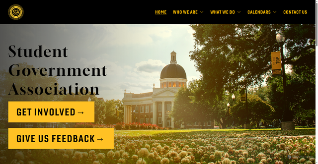 Security scan screenshot of https://www.southernmisssga.org/