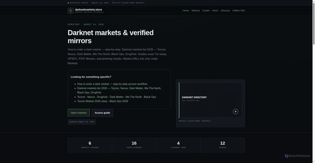 Security scan screenshot of darknetmarkets.store