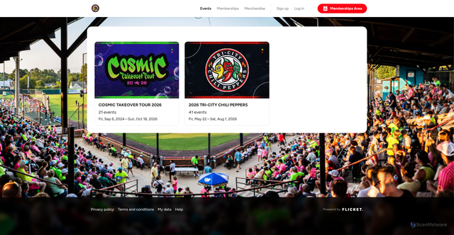 Security scan screenshot of https://chilipeppersbaseball.flicket.io