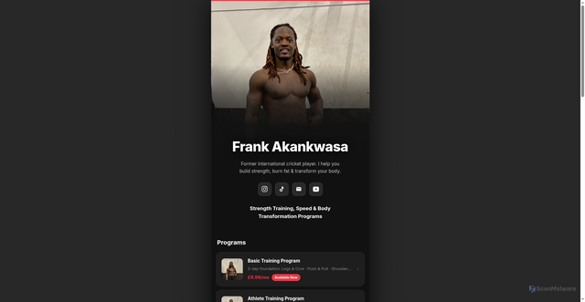Security scan screenshot of https://thefrankfit.com/