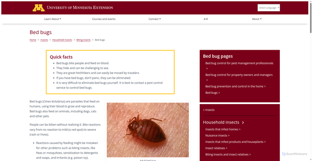 Security scan screenshot of https://extension.umn.edu/biting-insects/bed-bugs