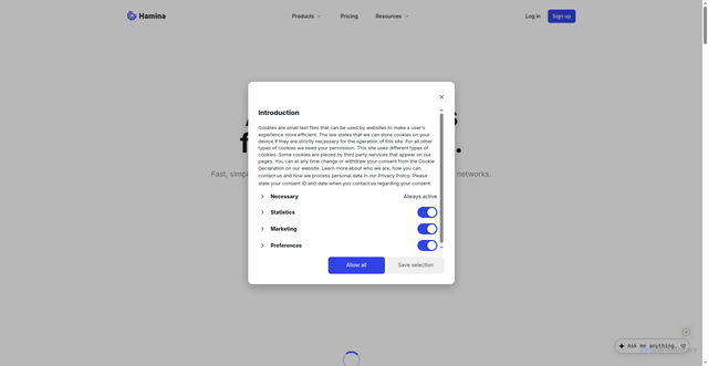 Security scan screenshot of https://hamina.com