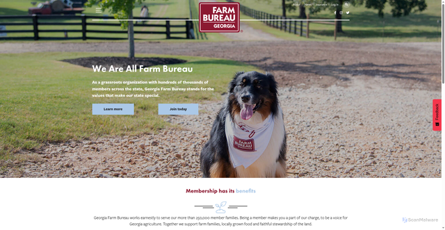 Security scan screenshot of https://www.gfb.org/