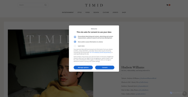 Security scan screenshot of https://www.timidmag.com/features/hudson-williams