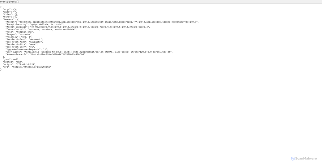 Security scan screenshot of https://httpbin.org/anything