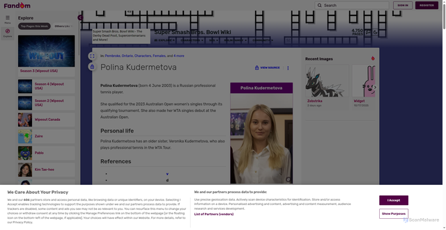 Security scan screenshot of https://supersmashbrosbowl.fandom.com/wiki/Polina_Kudermetova