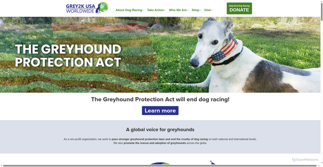 Security scan screenshot of https://grey2kusa.org