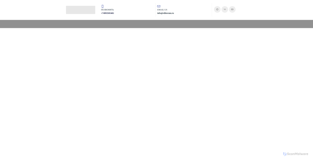 Security scan screenshot of https://editorum.ru
