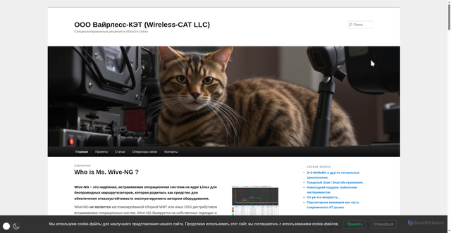 Security scan screenshot of https://wi-cat.ru