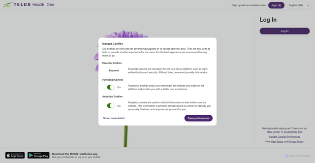 Security scan screenshot of https://apis.lifeworks.com