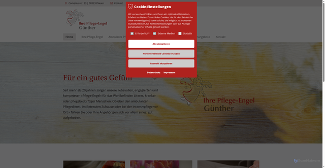 Security scan screenshot of https://pflegeengel-plauen.de/