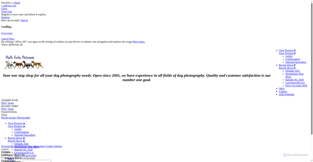 Security scan screenshot of https://phyllisensleyphotography.zenfolio.com