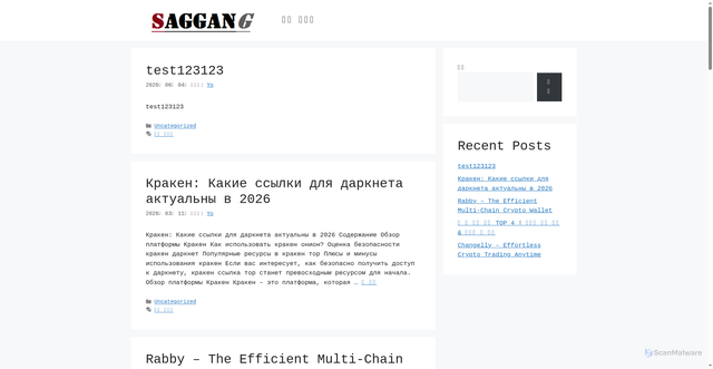 Security scan screenshot of https://saggang.com