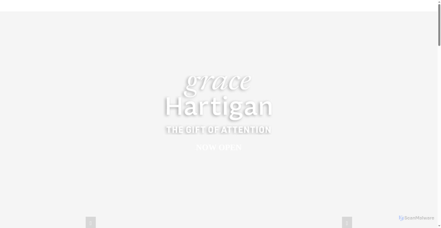 Security scan screenshot of https://www.portlandmuseum.org/