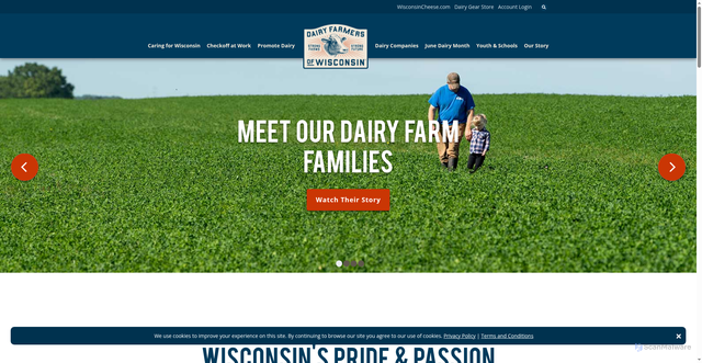 Security scan screenshot of https://wisconsindairy.org