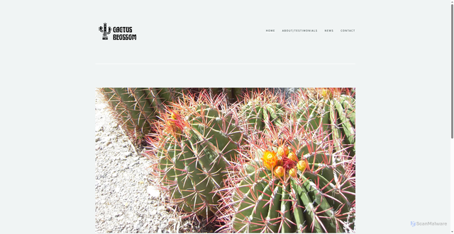 Security scan screenshot of https://cactusblossom.net