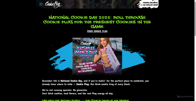 Security scan screenshot of https://cookieplug.com/national-cookie-day-2025/