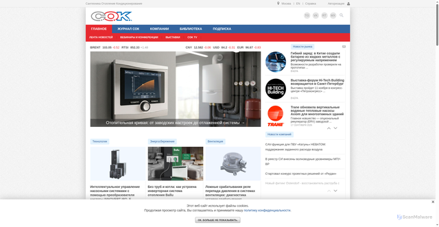 Security scan screenshot of https://c-o-k.ru