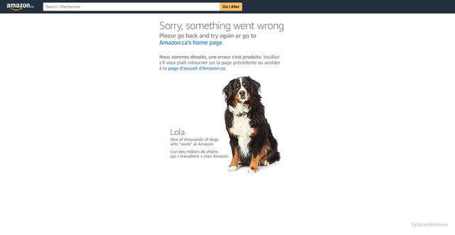 Security scan screenshot of https://www.amazon.ca/stores/author/B08B469S3J