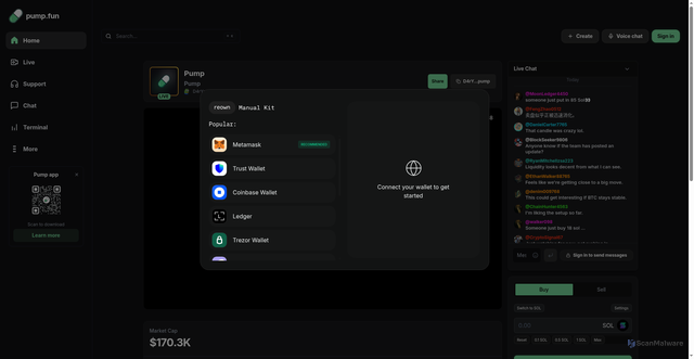 Security scan screenshot of https://pump-coin-live.fun/