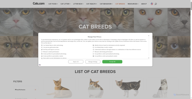 Security scan screenshot of https://cats.com/cat-breeds