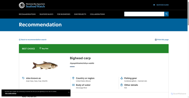 Security scan screenshot of https://www.seafoodwatch.org/recommendation/carp/bighead-carp-56451