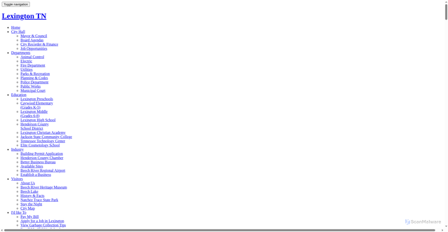 Security scan screenshot of https://lexingtontn.gov/