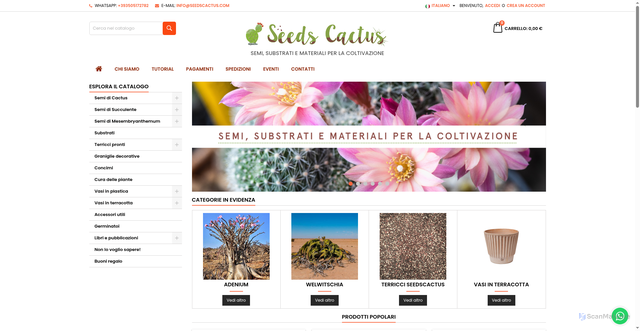 Security scan screenshot of https://seedscactus.com