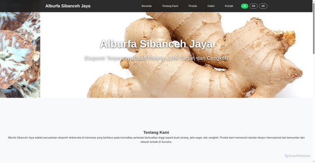 Security scan screenshot of https://realistic-gold-78qqucrouc-0hvepzhs0f.edgeone.app/