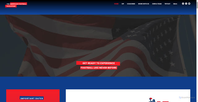 Security scan screenshot of https://www.mlfofficial.com/