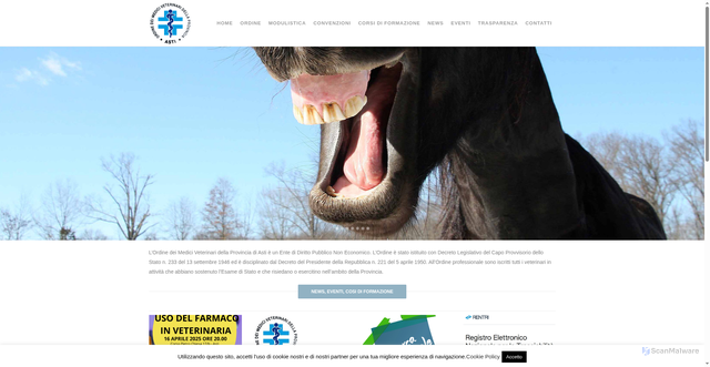 Security scan screenshot of https://www.veterinariasti.it/