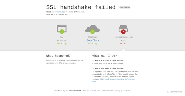 Security scan screenshot of https://staff.scanmalware.com/inter-records/report-2026/